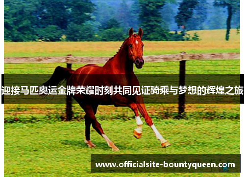 迎接马匹奥运金牌荣耀时刻共同见证骑乘与梦想的辉煌之旅